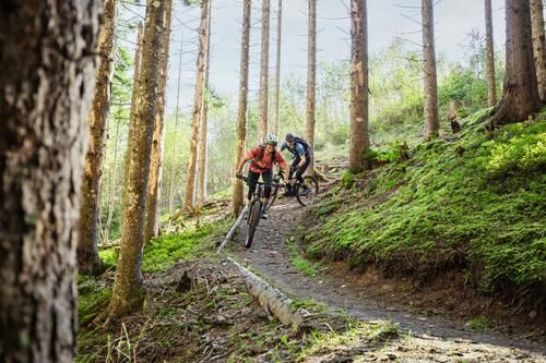 Mountainbiken in sterreich: Touren, Trails und Tipps
