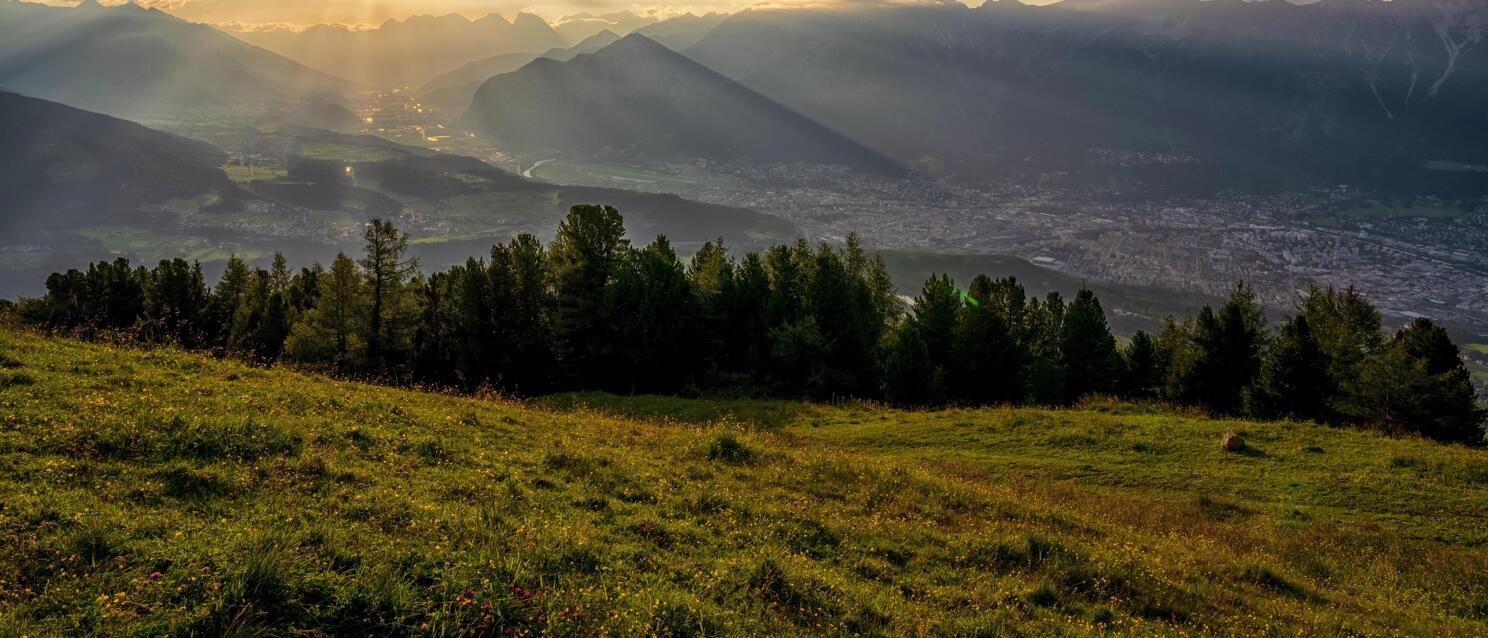 Sunset over Inn Valley with view of Innsbruck, alpine meadow and coniferous forest in foreground.