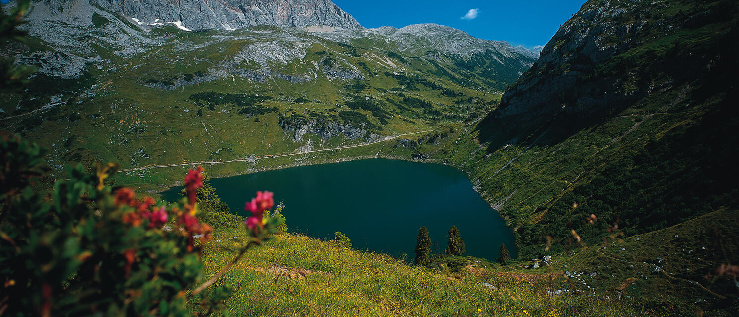 View of mountain lake in alpine valley, red alpine roses in foreground, rocky peaks in background.