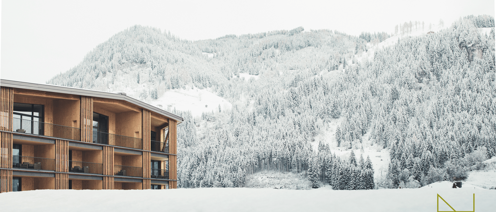 Hotel Nesslerhof - Exterior view in winter