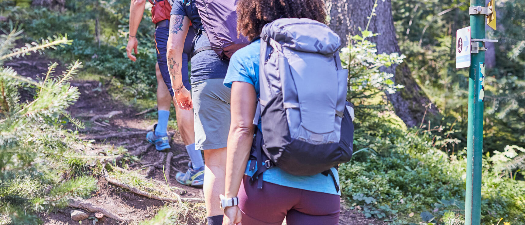 Hiking Trail Guide