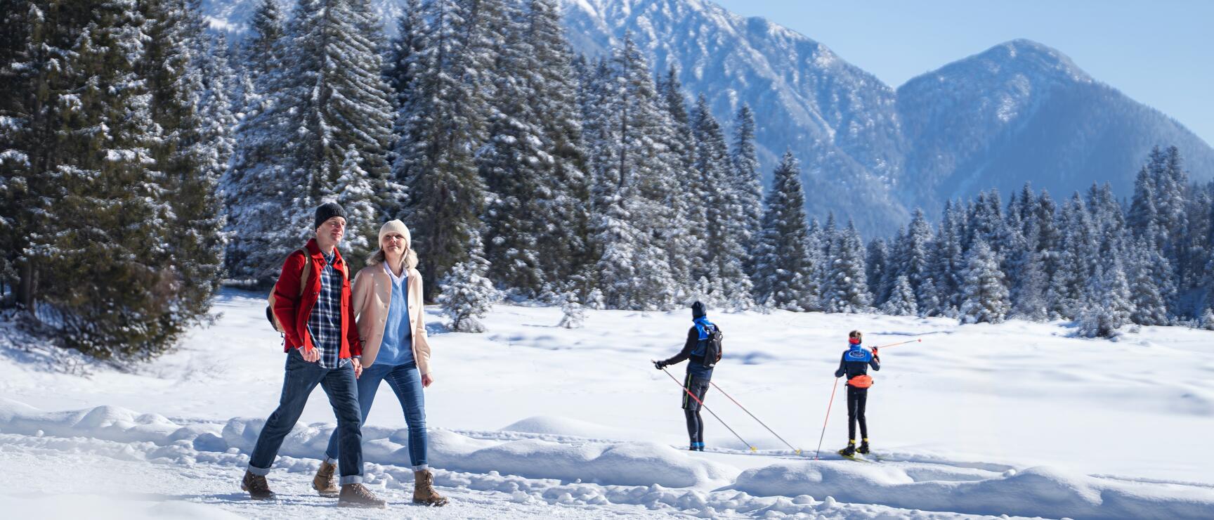 Zwei Personen spazieren im Schnee, zwei Langläufer dahinter, schneebedeckte Berge und Fichten im Hintergrund.