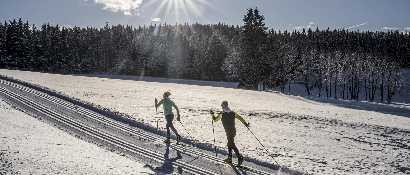 Two people cross-country skiing on a trail with snowy coniferous forest and sun star in the background.