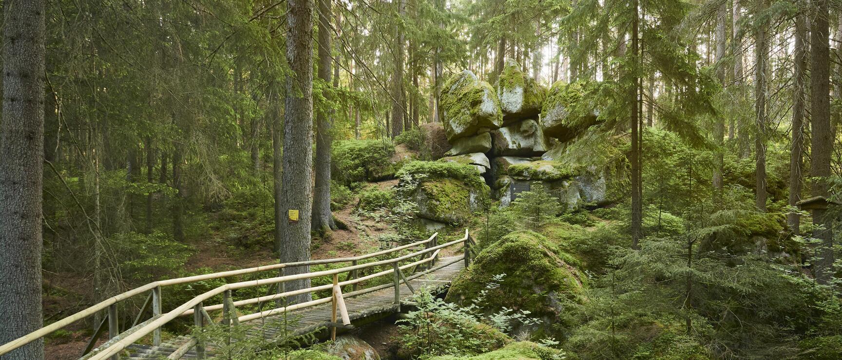 Holzsteg mit Geländer führt durch moosbedeckte Felslandschaft im Nadelwald.