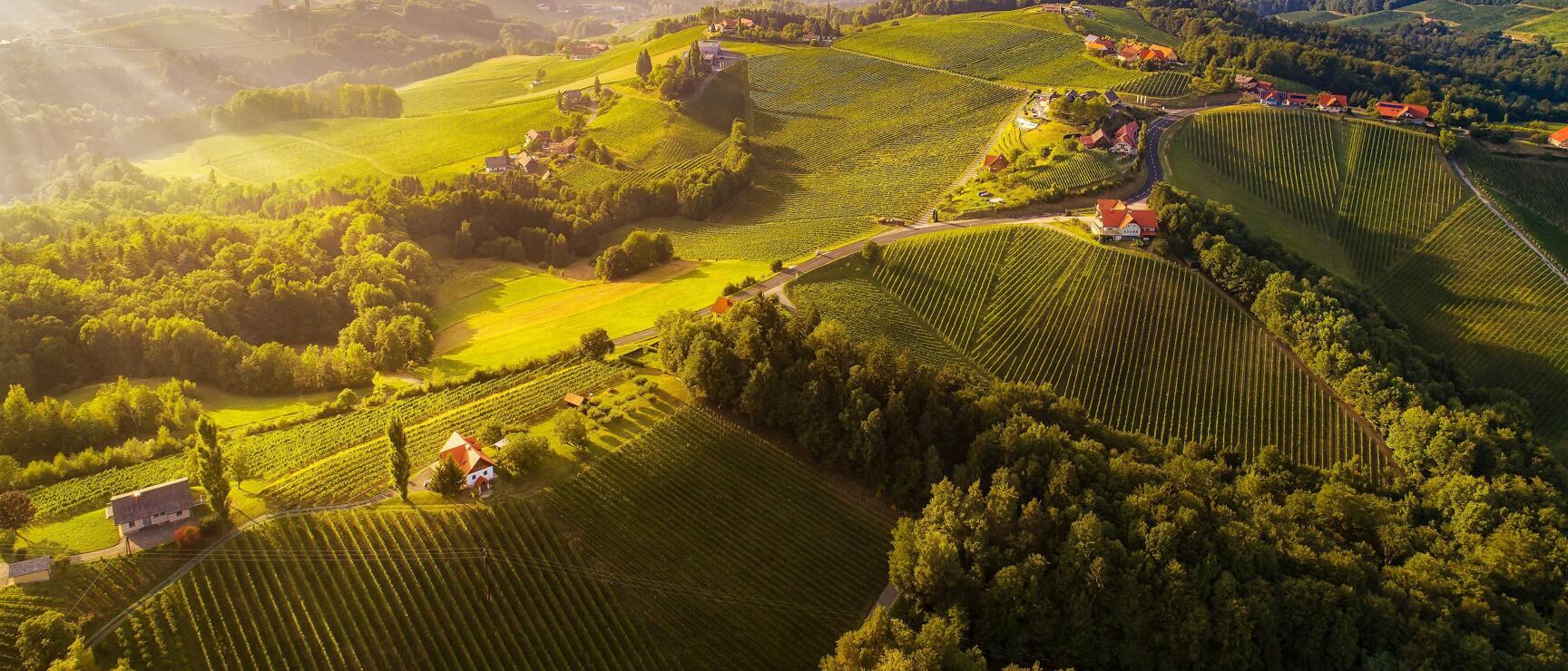 Luftaufnahme grüner Weinberghügel mit Bauernhöfen, Wäldern und weiter Hügellandschaft im Abendlicht.