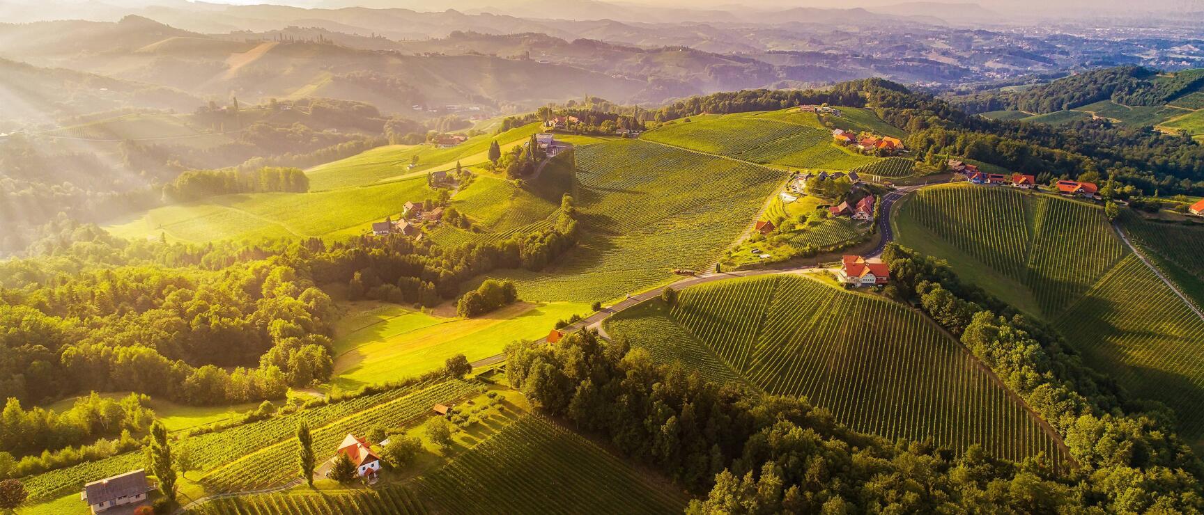 Aerial view of green vineyard hills with farmhouses, forests and rolling hills in evening light.
