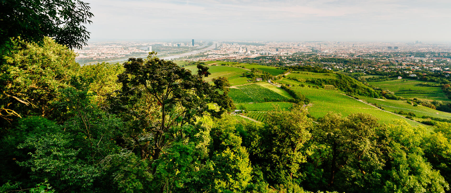 Panoramablick vom Kahlenberg auf Weinberge, Donau und Wiener Stadtsilhouette unter blauem Himmel.