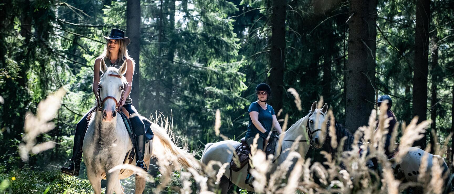 Three female riders on light-coloured horses on a forest path, sunlight between tall conifers.