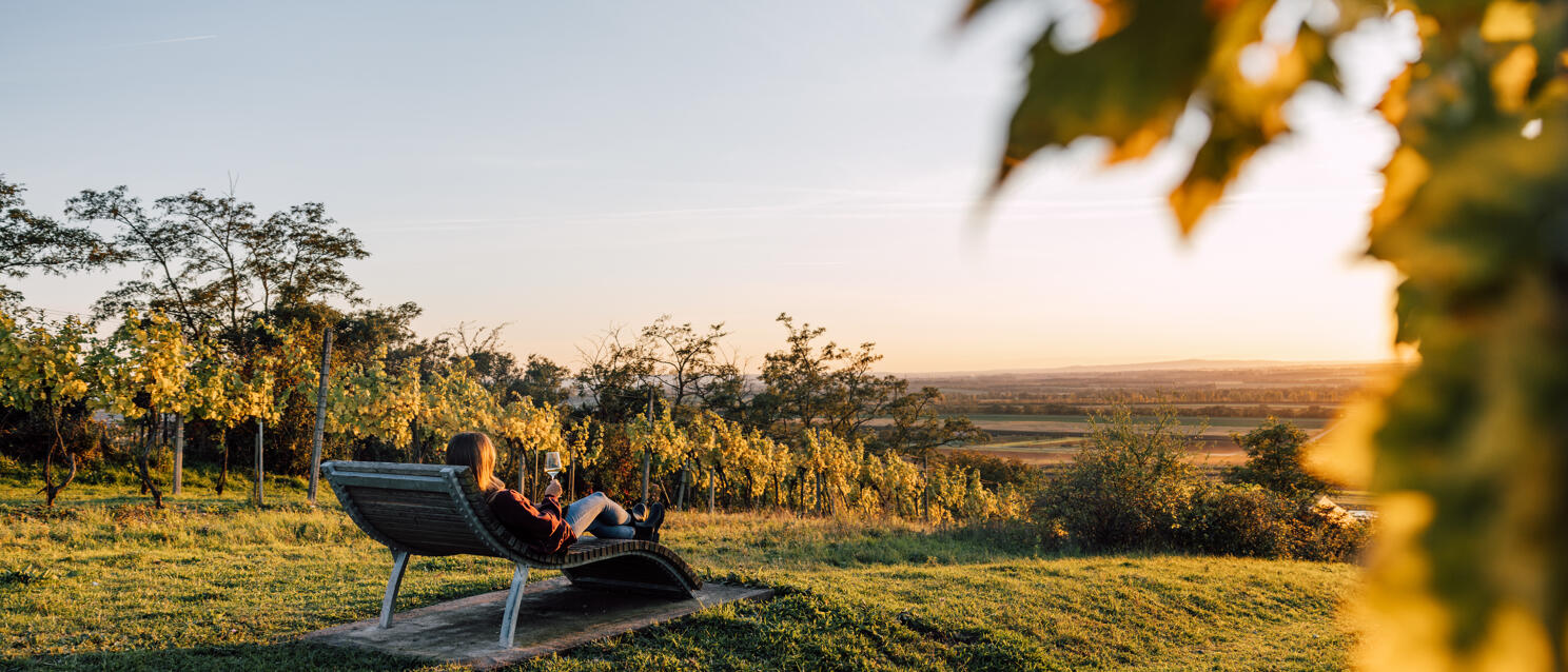 Woman with wine glass on lounger among autumn vineyards at sunset, wide landscape in background.