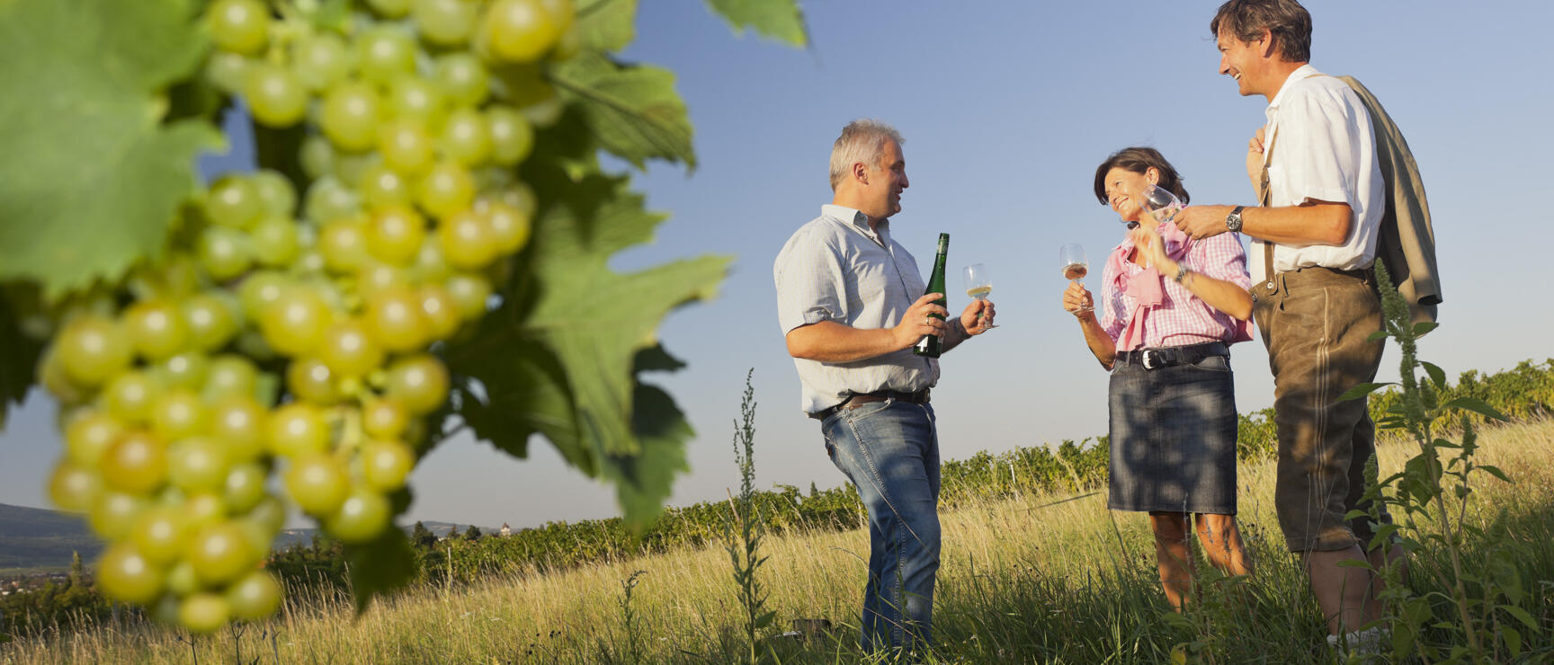 Three people with wine bottles and glasses in vineyard, green grapes in foreground, blue sky