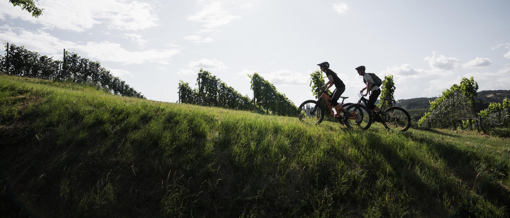 Two mountain bikers with helmets cycling down a grass slope, vineyards in background, cloudy sky.
