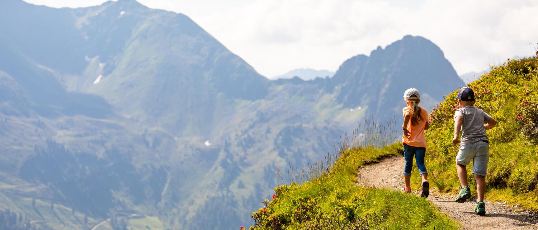 Two children are walking along a mountain trail in the Alpbachtal, with alpine roses, a vast valley, and mountain peaks in the background.