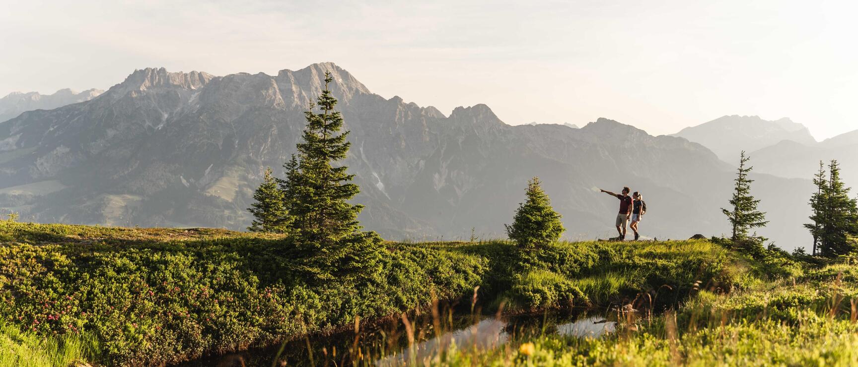 Two hikers on an alpine meadow with stream, firs and mountain panorama in background.