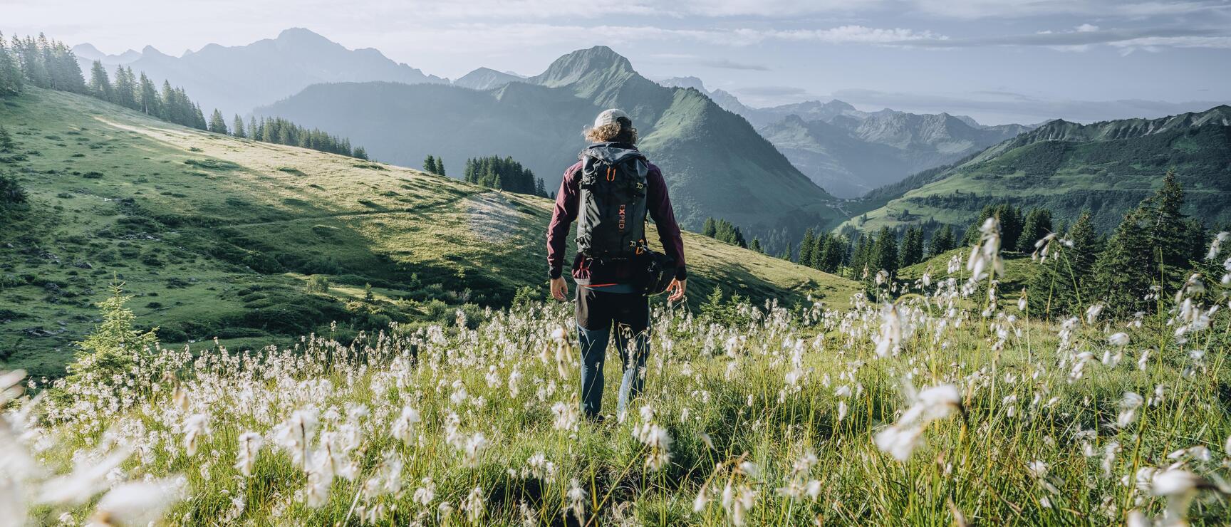 Person with backpack standing on blooming alpine meadow, view of extensive mountain range in the background.