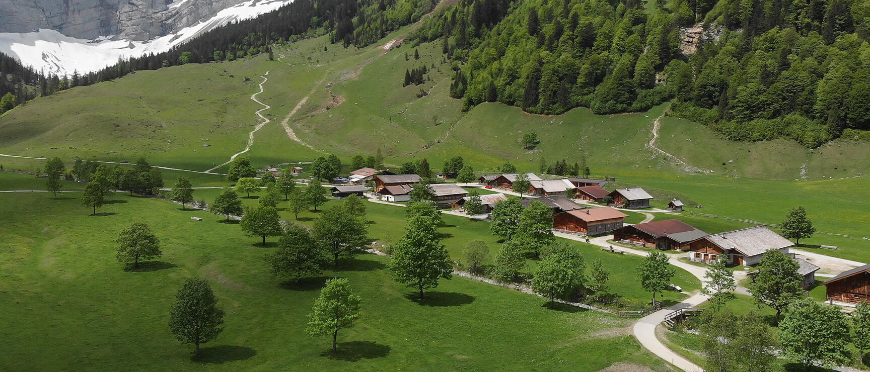 Aerial view of an alpine settlement with wooden houses on green meadow, forest-covered mountains and snow-capped rock faces in the background.