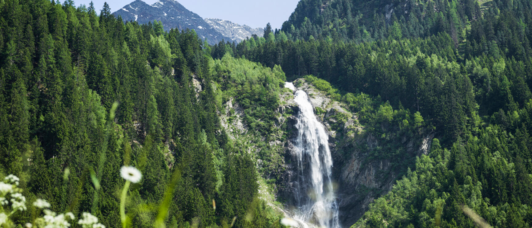Wasserfall in bewaldeter Berglandschaft, Wildblumenwiese im Vordergrund, schneebedeckter Gipfel im Hintergrund.