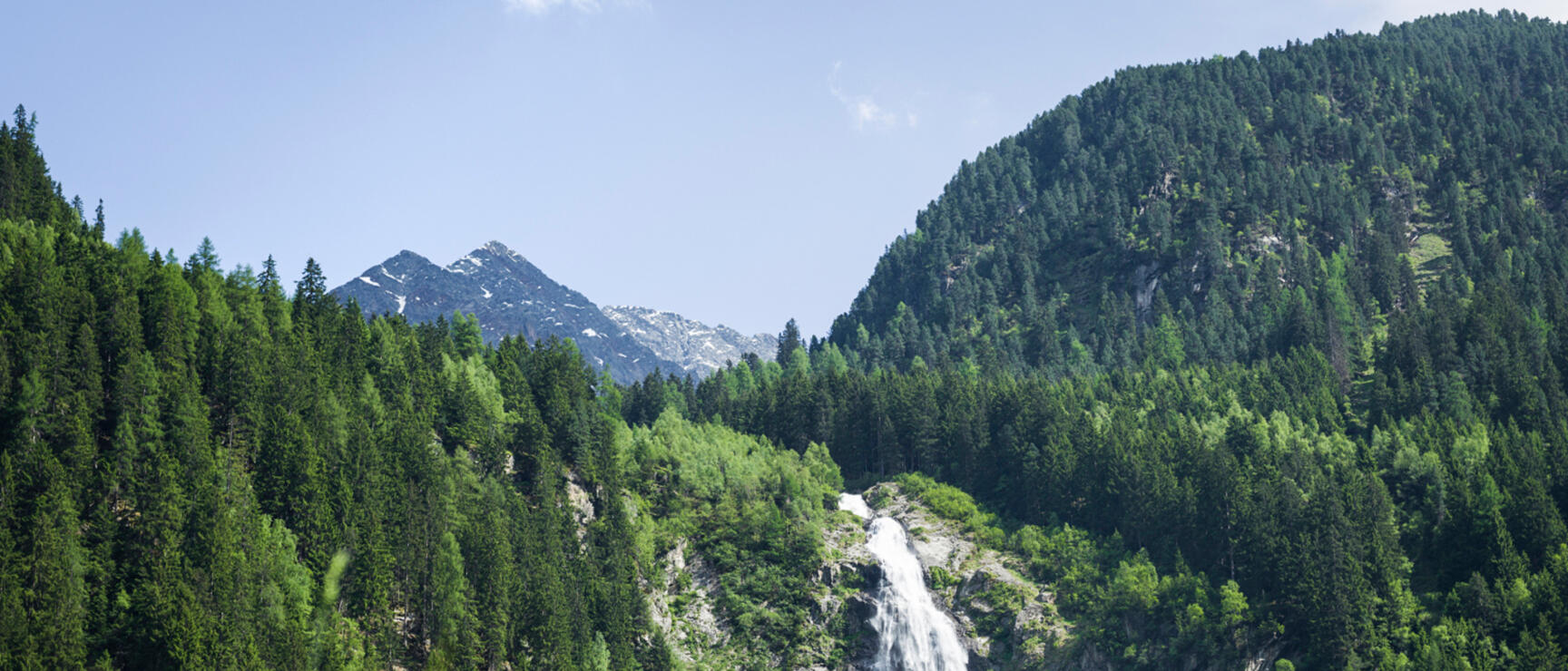 Waterfall in forested mountain landscape, wildflower meadow in foreground, snow-capped peak in background.
