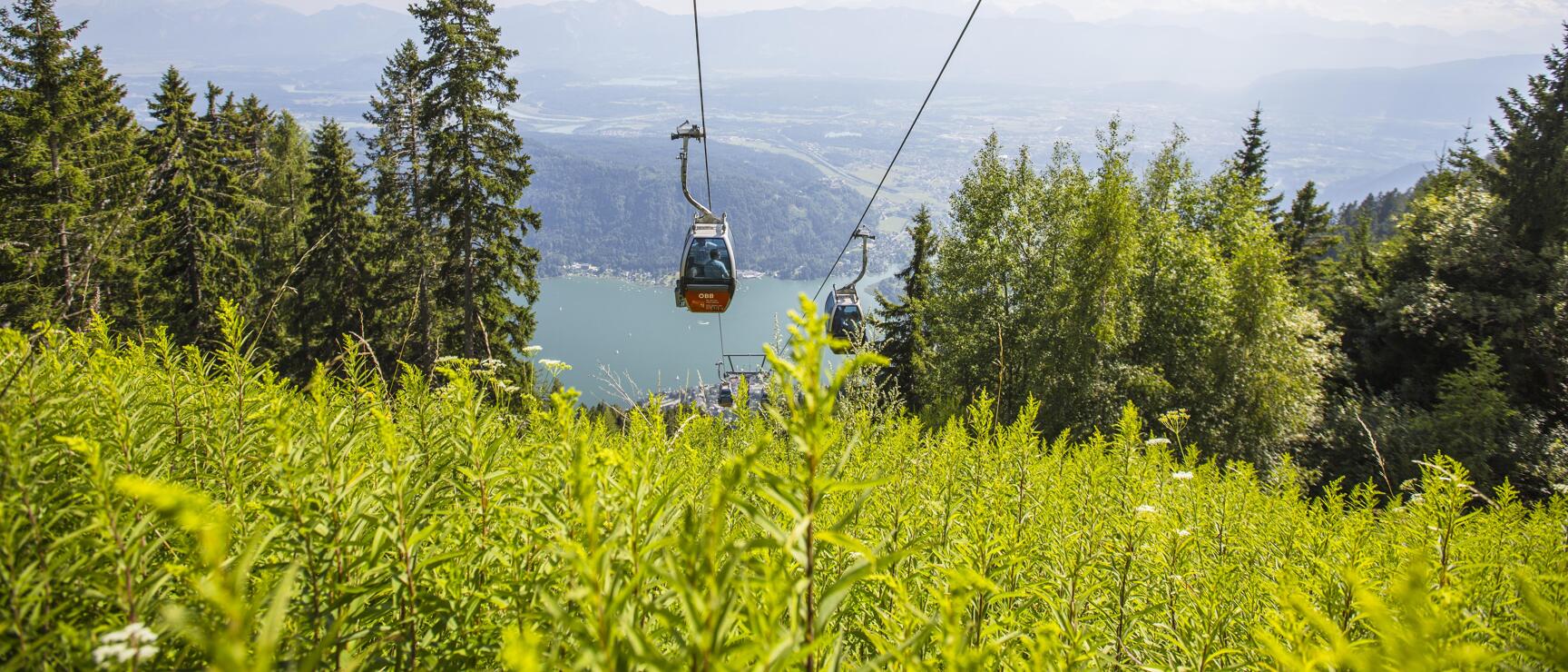Cable car cabins over green mountain meadow with lake view and mountain panorama in the background.