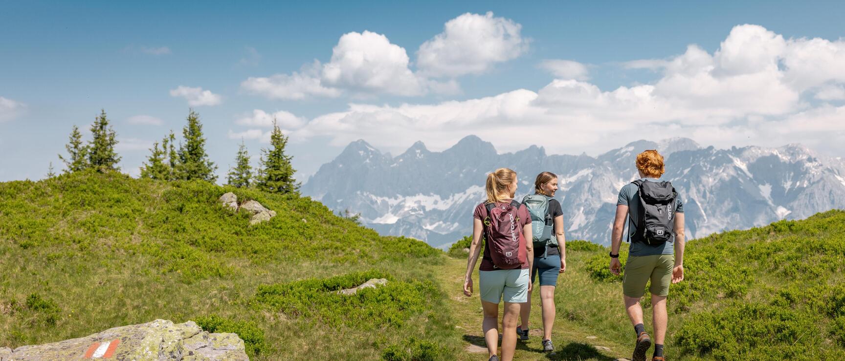 Three hikers with backpacks on an alpine path, trail marking on rock, snow-covered mountain range in background.