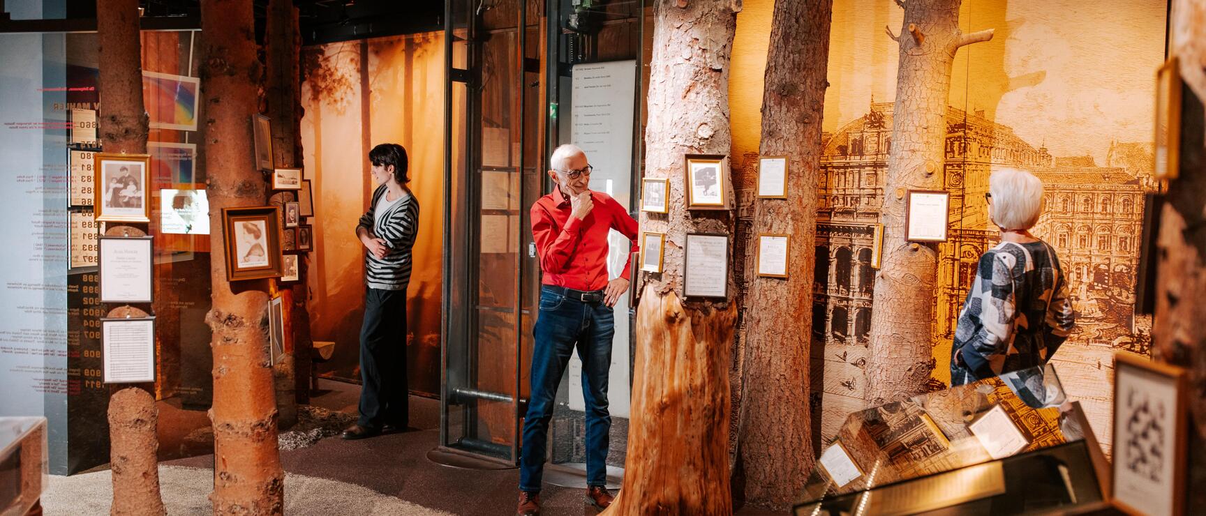 Museum room with real tree trunks, three visitors viewing framed exhibits, historic city view in background.