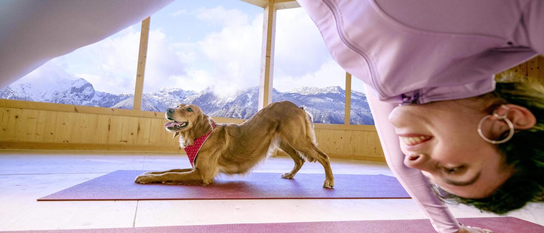Frau in Yogapose auf Matte, Golden Retriever daneben, Holzpavillon mit schneebedeckten Bergen im Hintergrund.