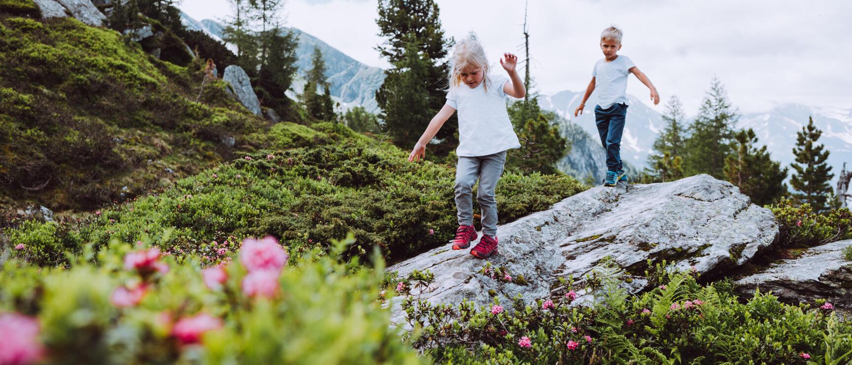 Two children balancing on a rock surrounded by blooming alpine roses, snow-covered mountains in background.