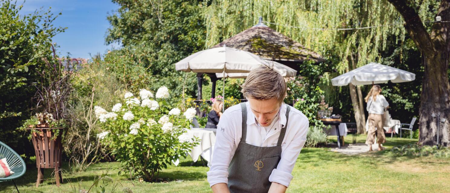 Chef in grey apron kneading dough at a wooden table in the garden with plums and baking pans nearby.