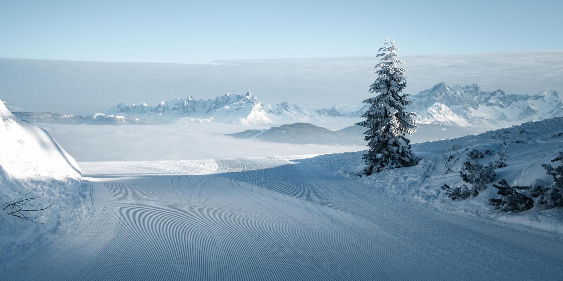 Freshly groomed ski slope with tracks, snow-covered fir tree on the right, Alpine panorama in the misty background.