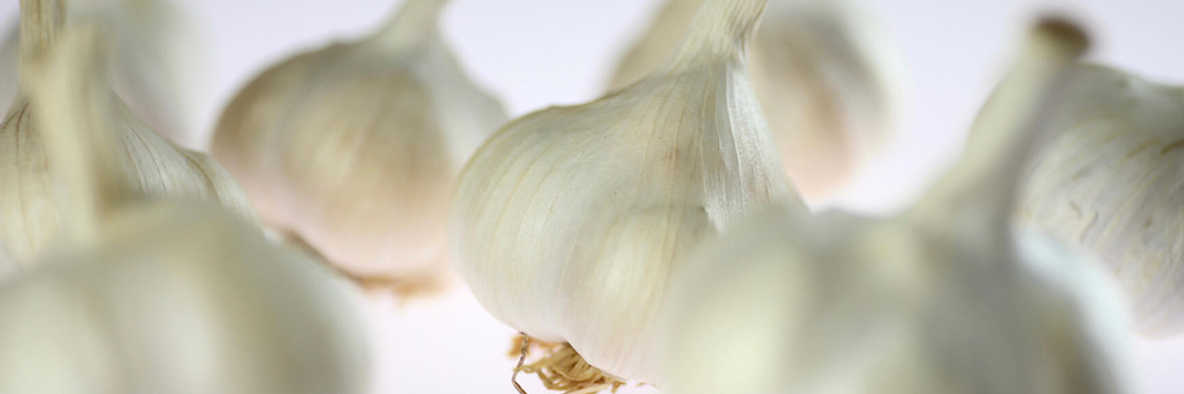 Close-up of several white garlic bulbs against light background, one bulb in sharp focus.