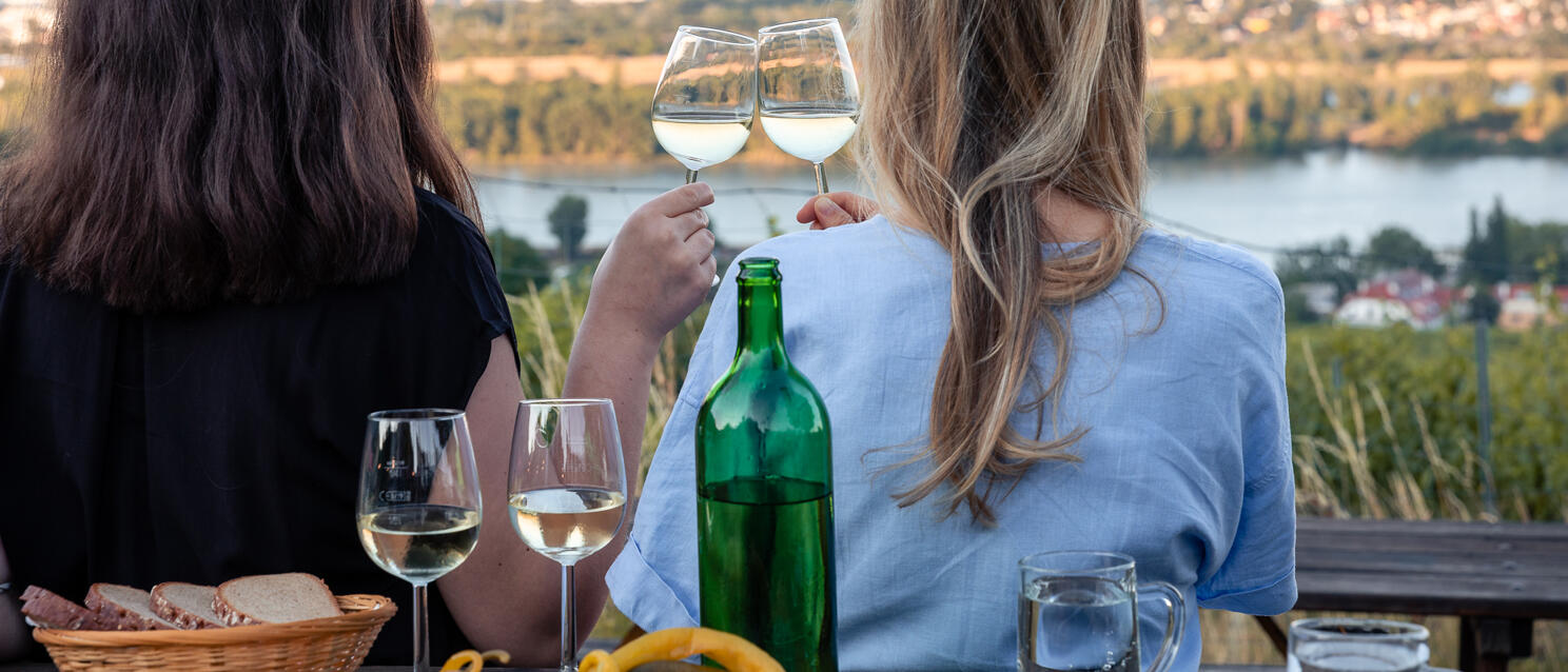 Two women toasting with white wine, view of river and city in background, wine bottle on table.
