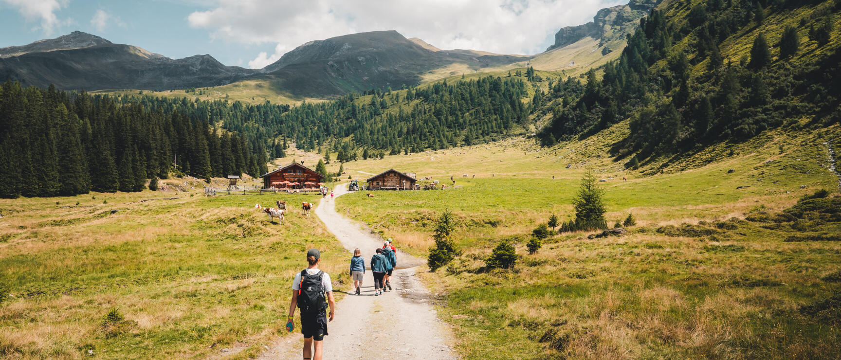 Hiking group on gravel path towards mountain huts in green alpine valley, cows grazing, mountains in background.