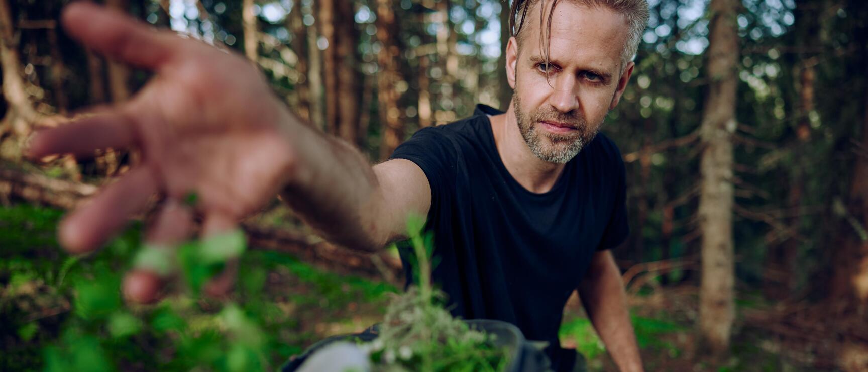 Man in black t-shirt kneeling in forest reaching for wild herbs in a container.