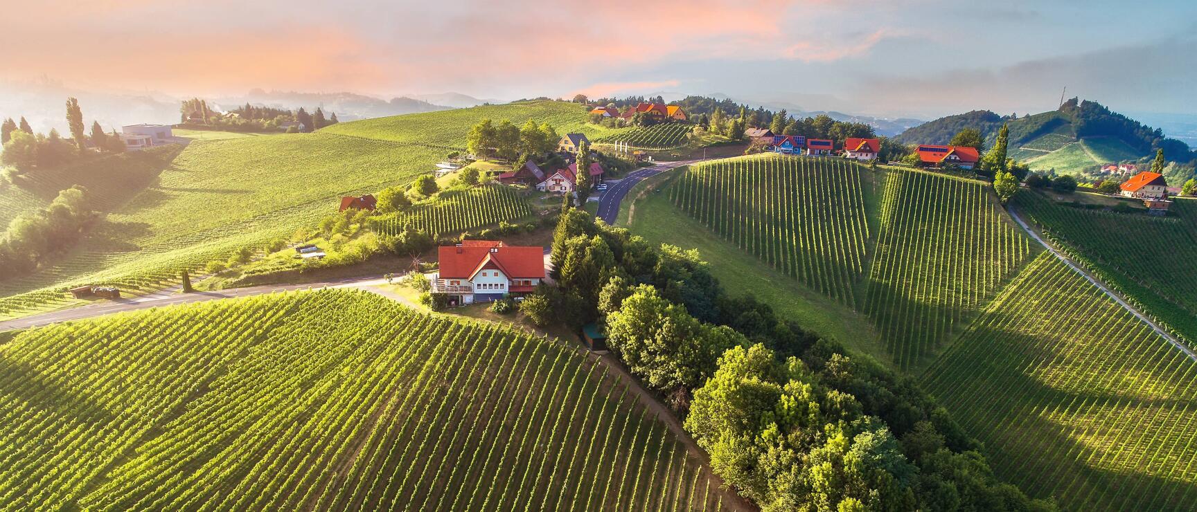 Aerial view of green vineyard hills with red-tiled roofs and winding road in South Styria.