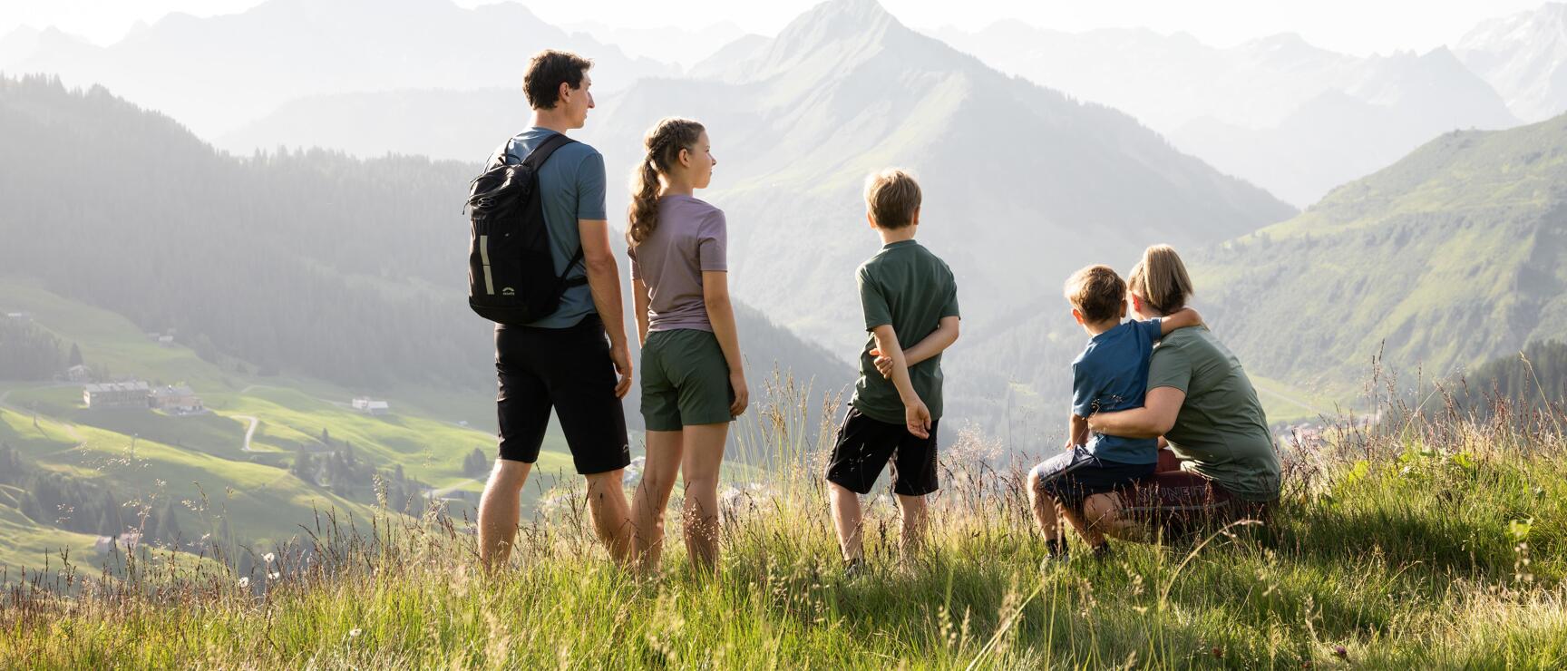 Five people on an alpine meadow gazing at an expansive mountain landscape with green slopes.