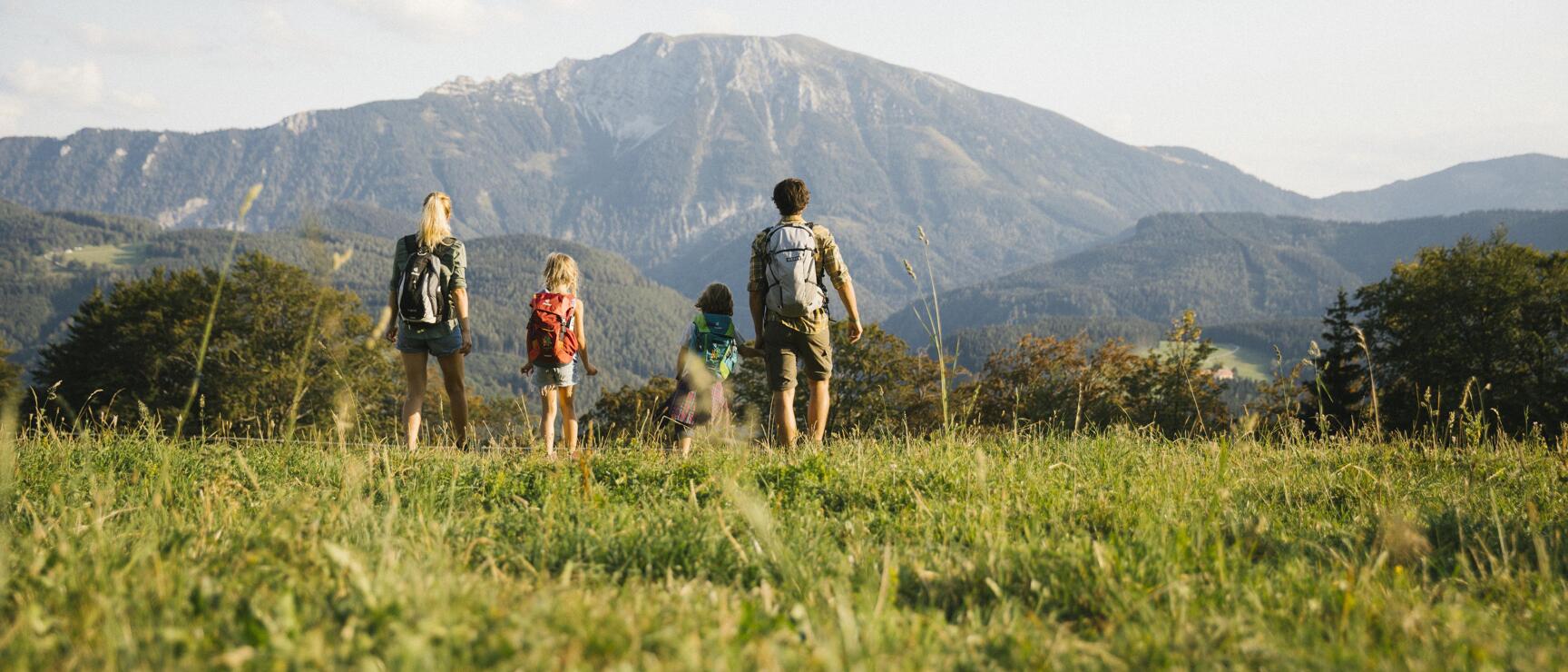 Two adults and two children with backpacks on a meadow, mountain panorama in the background.