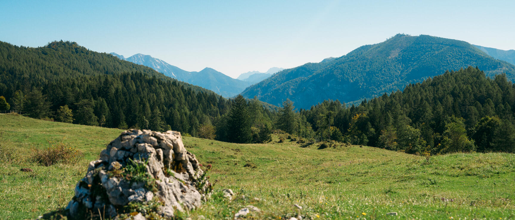Green alpine meadow with rocky stone in foreground, coniferous forests and mountain ranges under blue sky.