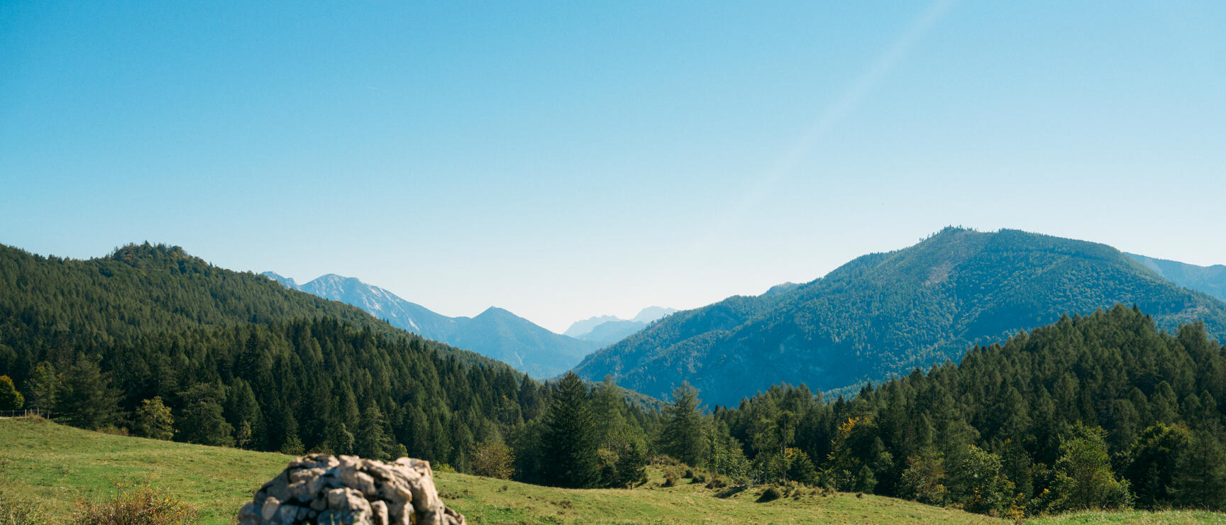 Grüne Almwiese mit Felsstein im Vordergrund, Nadelwälder und Bergketten unter blauem Himmel.