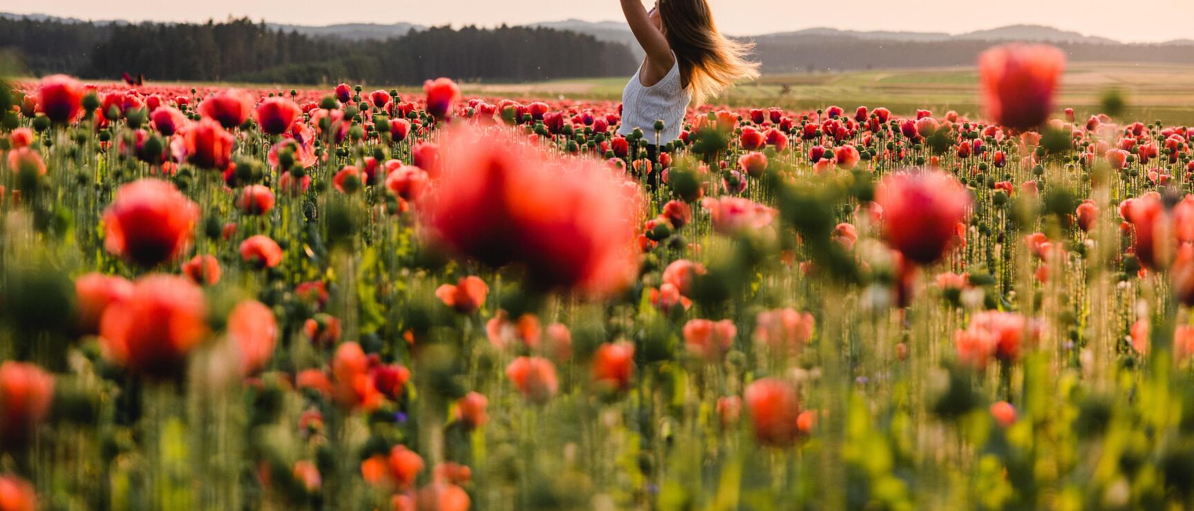 Woman with raised arms in red poppy field, forest and hills in background.