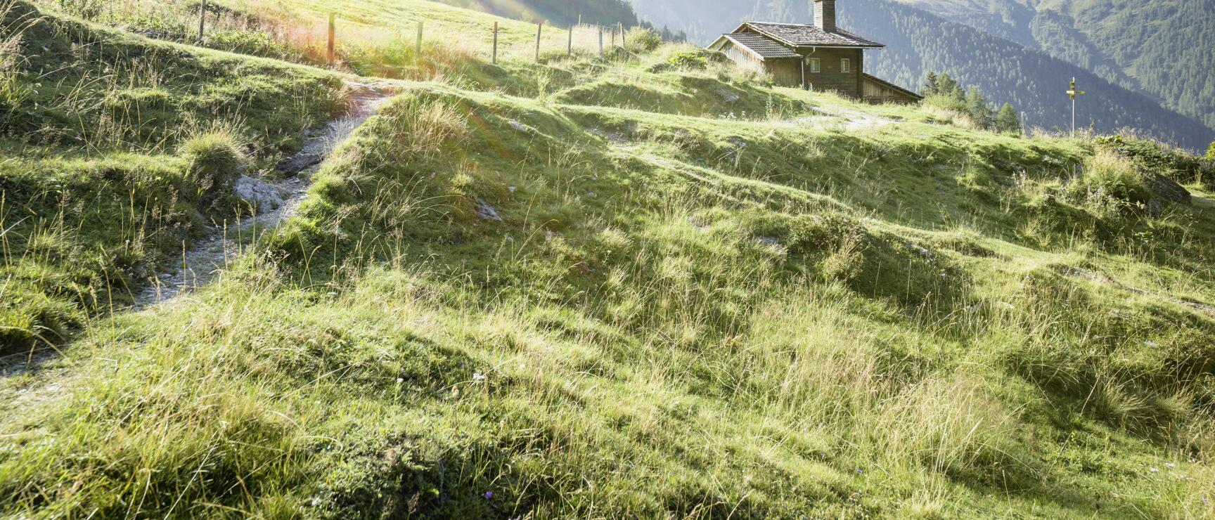 Holzhütte auf grüner Almwiese mit Bergpanorama im Hintergrund, schmaler Weg im Vordergrund.