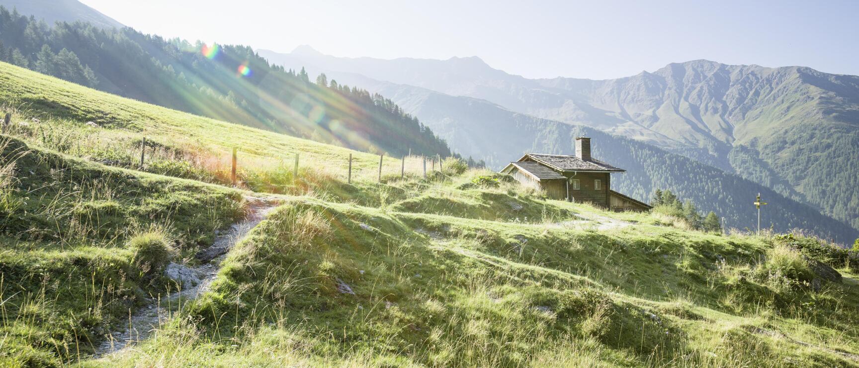 Holzhütte auf grüner Almwiese mit Bergpanorama im Hintergrund, schmaler Weg im Vordergrund.
