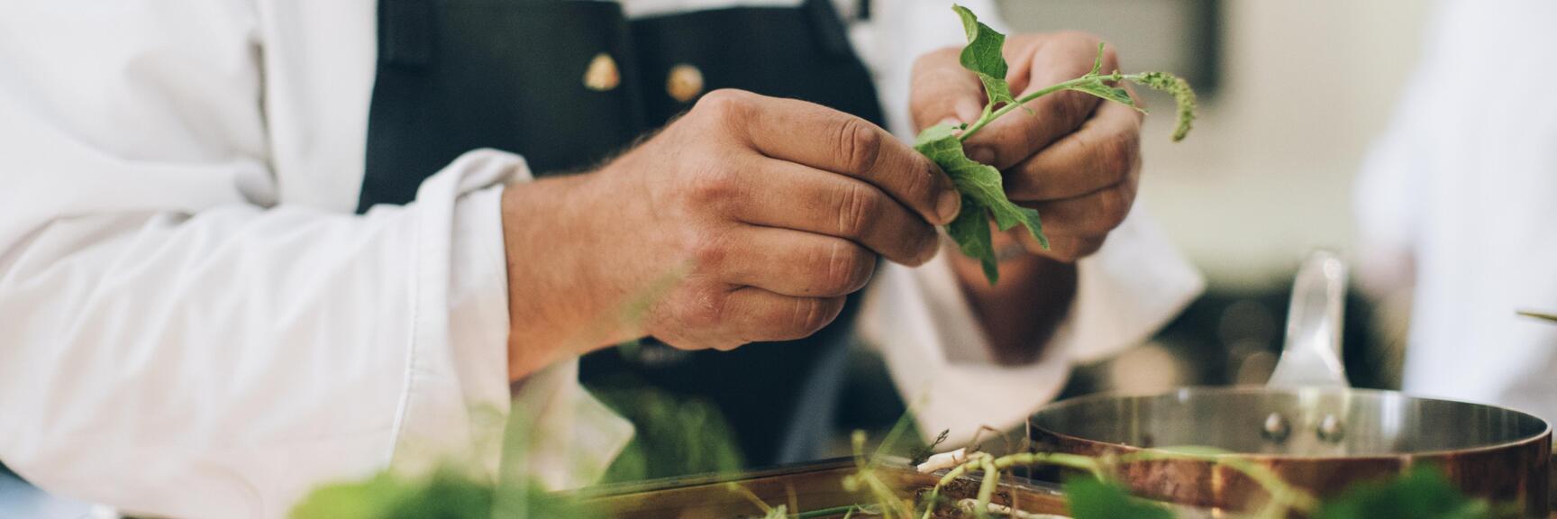 Chef in white jacket and black apron plucking fresh herbs over a copper pot in a kitchen.
