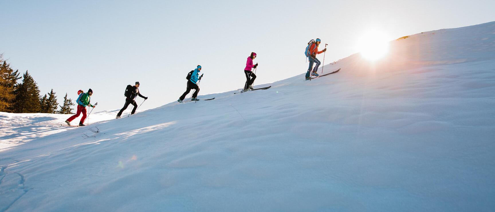 Five ski tourers ascending a snowy slope with sun and trees in the background.