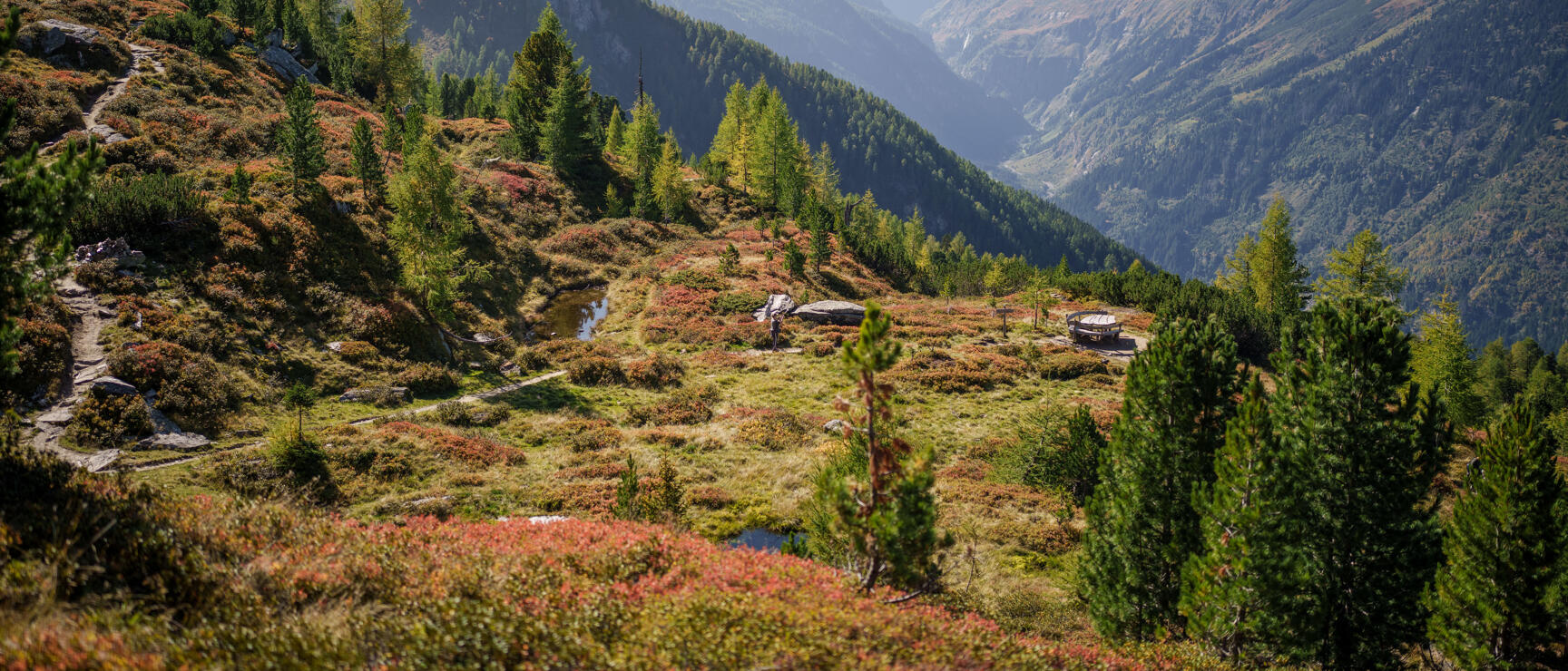 Autumn alpine meadow landscape with larch trees, small pond and mountain panorama, valley in background.
