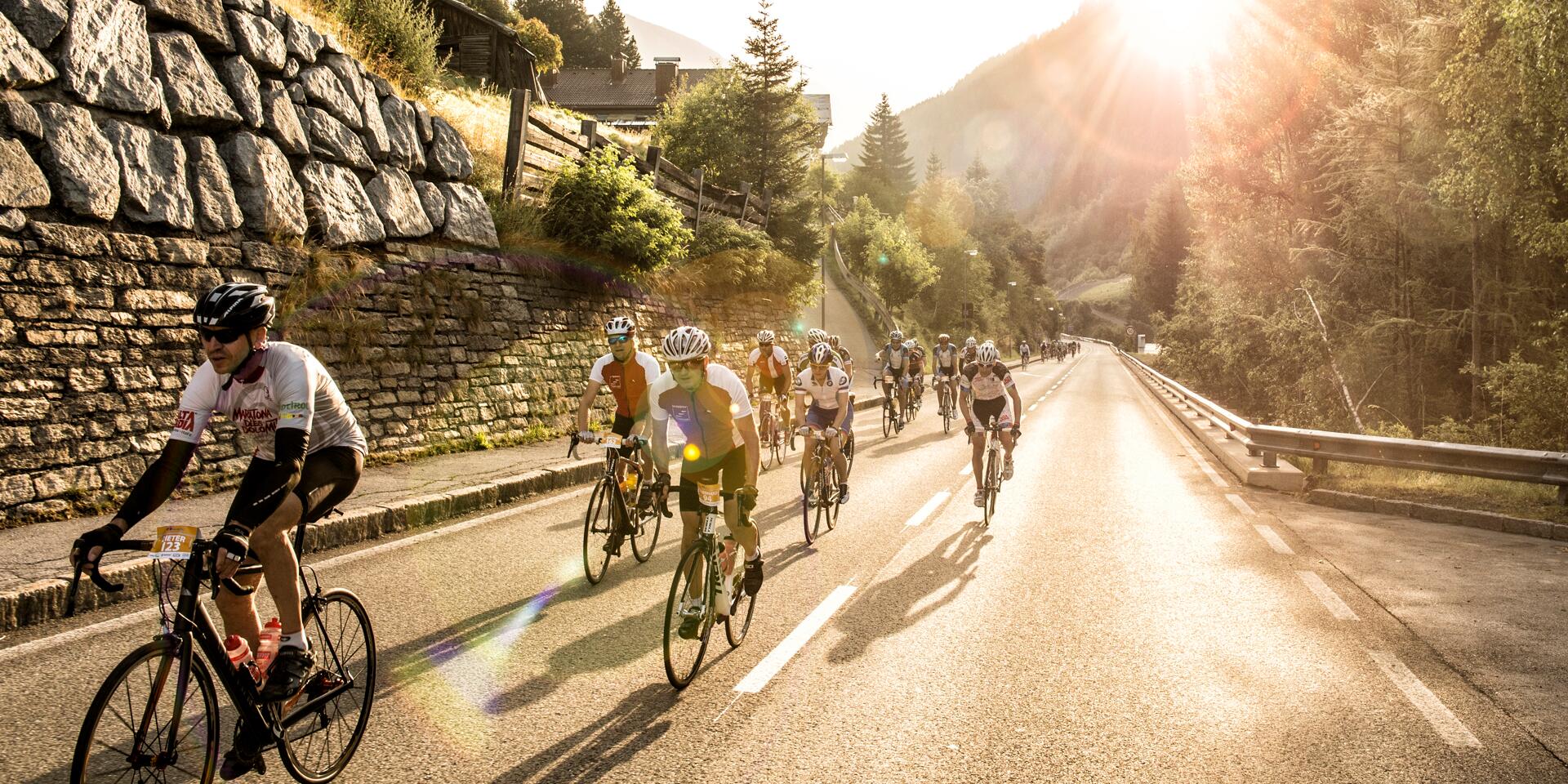 Group of cyclists with helmets on an Alpine road, backlighting, stone wall and coniferous forest.
