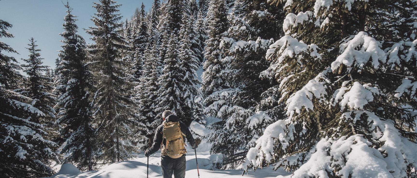 Person with backpack and poles snowshoeing in a snowy coniferous forest.
