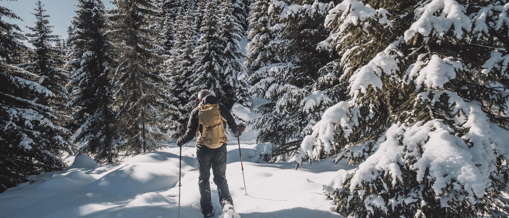 Person with backpack and poles snowshoeing in a snowy coniferous forest.