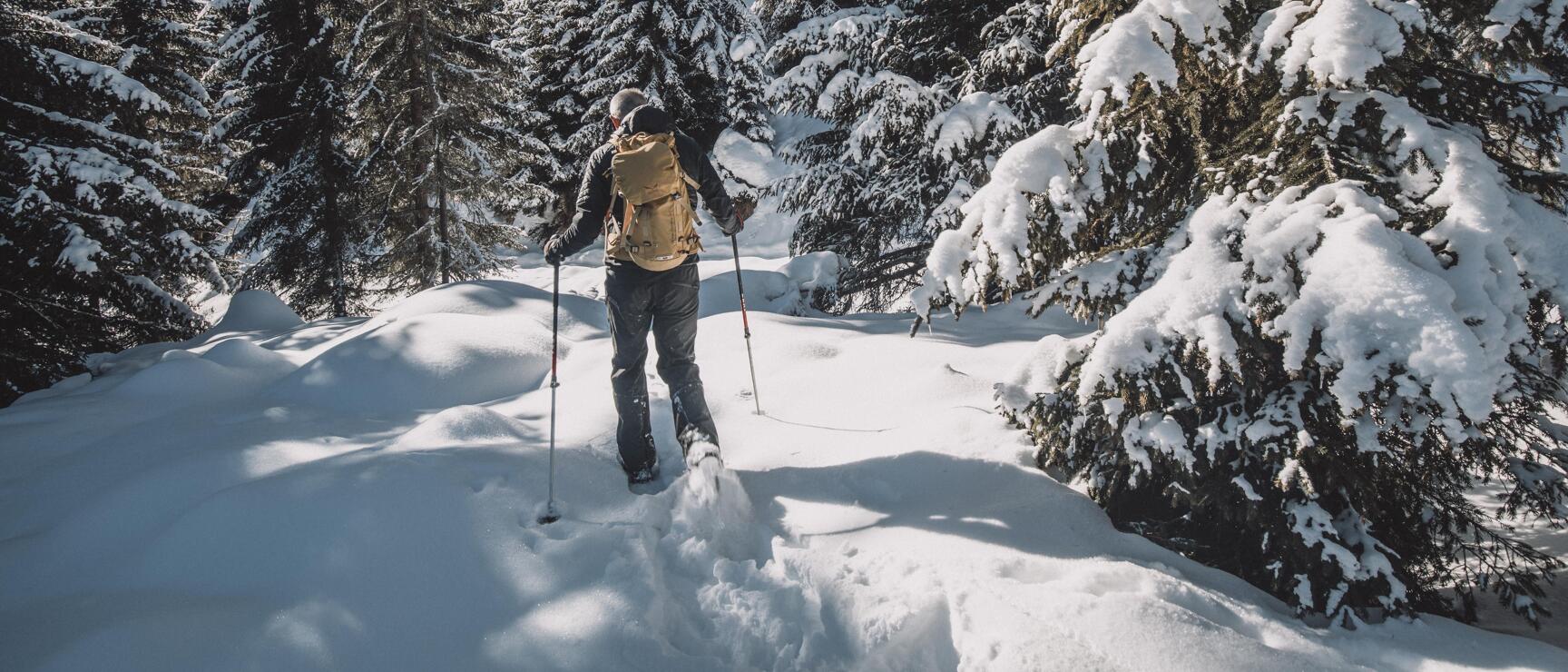 Person mit Rucksack und Stöcken beim Schneeschuhwandern in einem verschneiten Nadelwald.