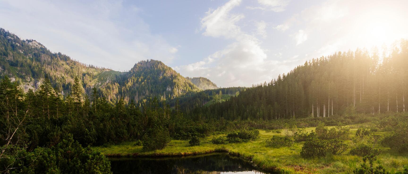 Landschaftsbild mit See und Berg