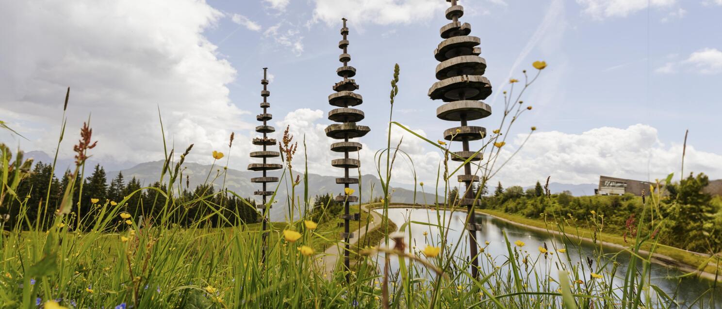 Metal sculptures made of stacked discs on a flower meadow, pond and mountain panorama in the background.