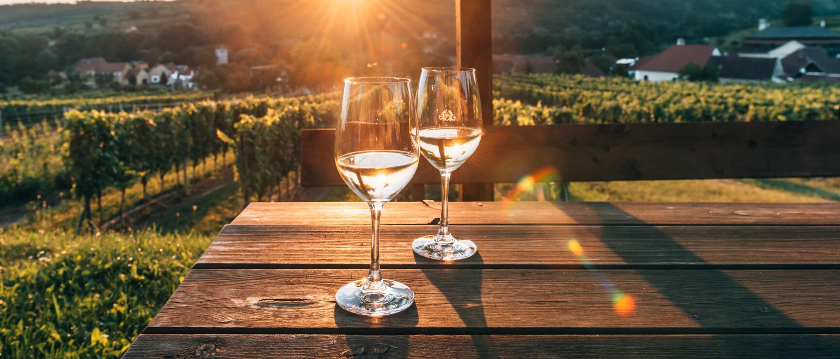 Two white wine glasses on wooden table, grapevines behind, sunset over hilly landscape.